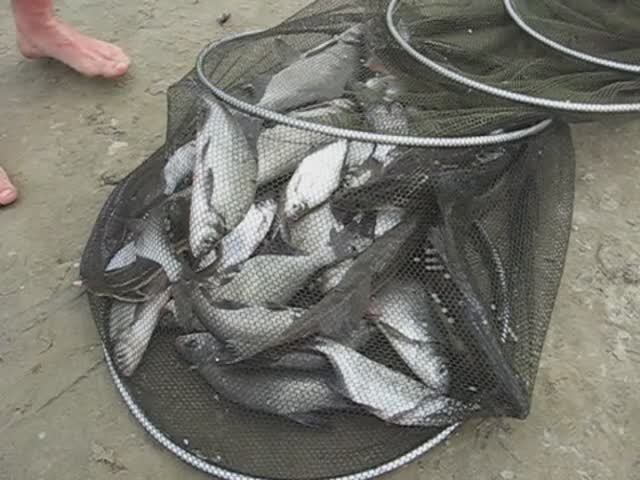 Мокша Азеево рыбалка на фидер