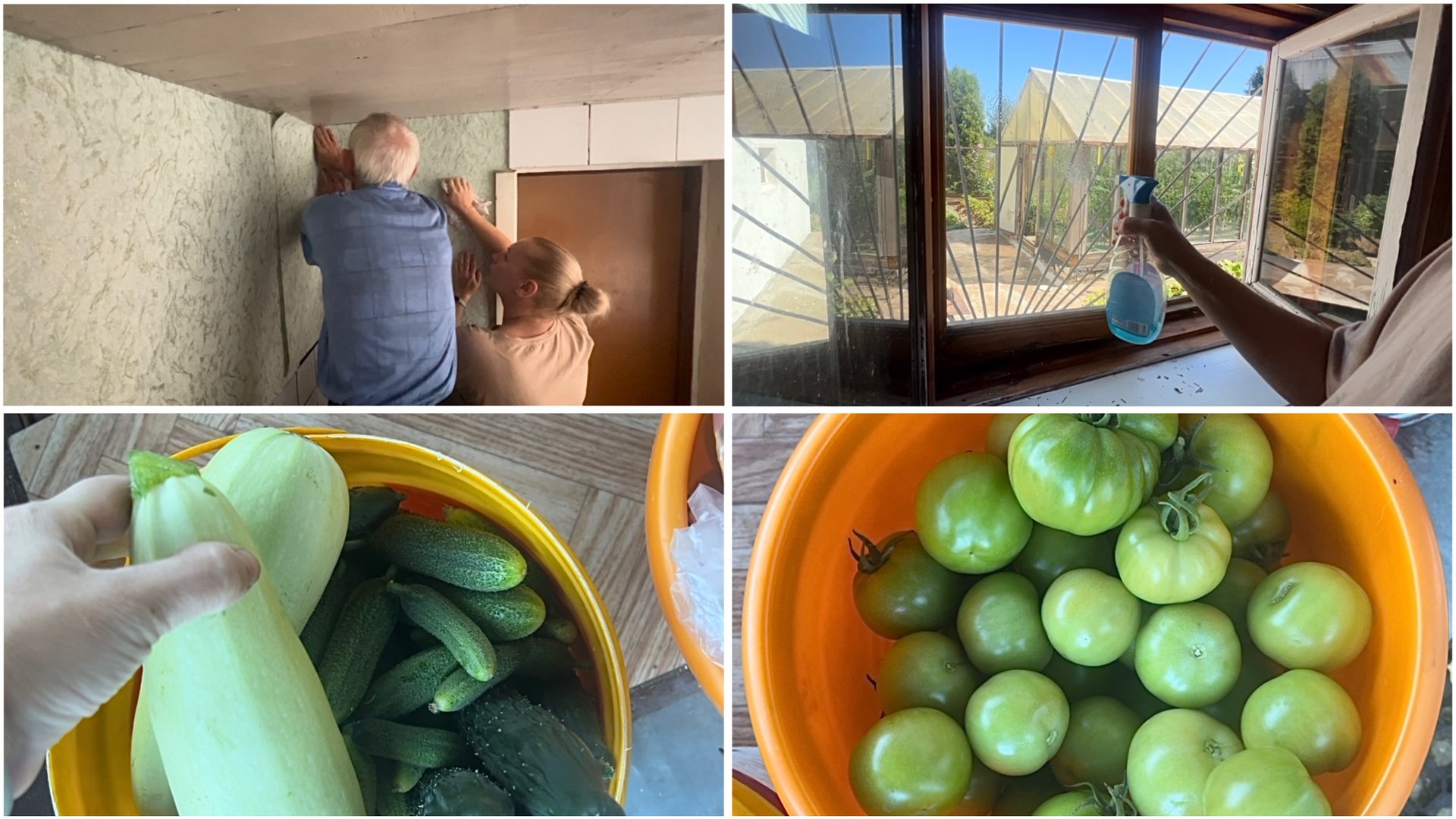 19 июля. Ремонт на даче. Попытка проредить морковь. Первые огурцы и кабачки смотреть онлайн