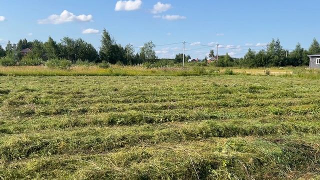 20-07-2025 смотреть онлайн