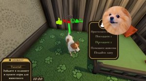У МЕНЯ СВОЙ ОТЕЛЬ ДЛЯ ЖИВОТНЫХ ! PETS HOTEL