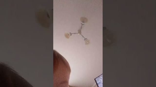Ялта лцдчь смотреть онлайн