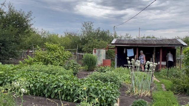 СНТ Полянка смотреть онлайн
