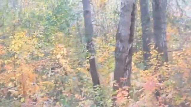 Случайная встреча - Автор музыка и поёт Михаил Ран смотреть онлайн