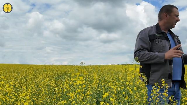 Завершение цветения. Поле с недостаточной густотой смотреть онлайн