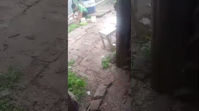 вечерняя управа ❤