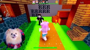 СТАЛА ЛЯГУШКОЙ В ROBLOX | УБЕГАЮ ОТ ЖАБ В РОБЛОКС