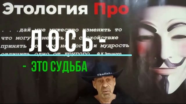 Лось - это Судьба