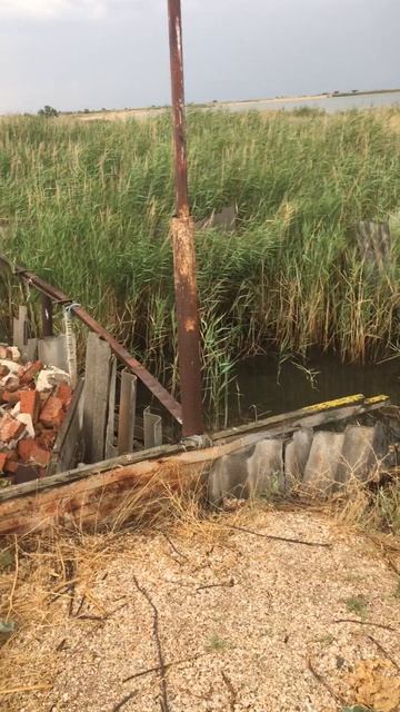 I Что стало с хижиной Ейского Робинзона. Остров Ейская коса. 20.07.25 Ейск смотреть онлайн