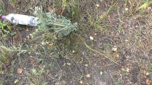 что с ней в наши дни