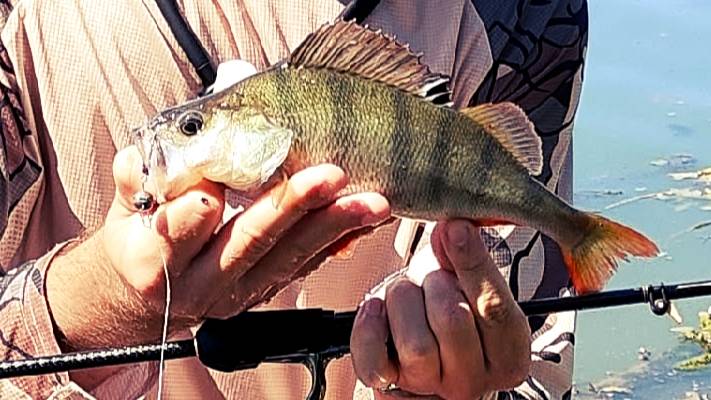 Рыбалка НЕ с утра — мой секрет успеха! смотреть онлайн