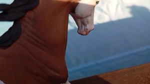 мини-фильм излишняя забота