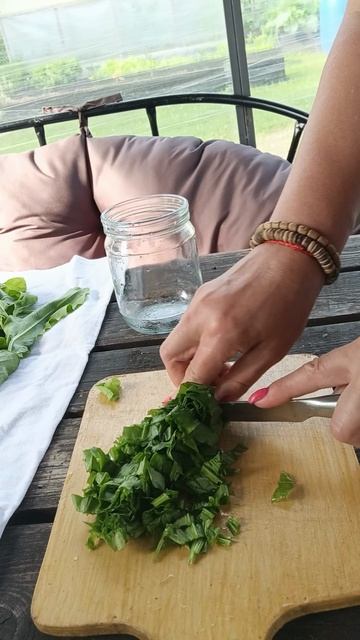 Заготовка щавеля для супа на зиму