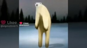 белый медведь 2026 приседает