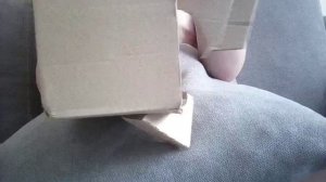 20-07-2025 Подделка ''Кото - полка''