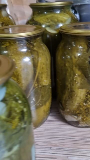 Новая заготовка! смотреть онлайн