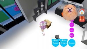 ПОХИЩЕНИЕ КОТЯТ В РОБЛКОС ! СОБРАЛА ЦЕЛЫЙ ДОМ КОТЯТ ROBLOX