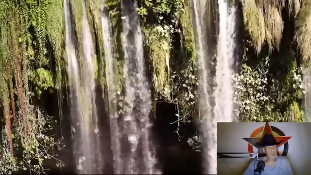 Этология Распада : Утрата Цели как Угроза Виду