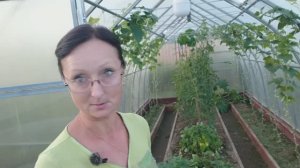 Видео привет с 6 соток 17 июля 2025 года.