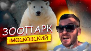 Московский ЗООПАРК! Новая Территория. Полный ОБЗОР! Развлечения в МОСКВЕ. Белый МЕДВЕДЬ, Лев, Жираф