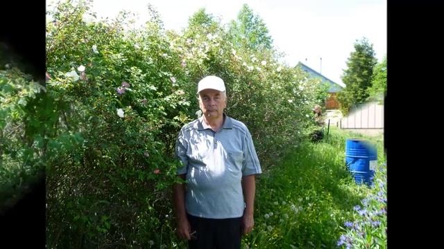 Буду жить Автор и музыка Роман Гребенюк поёт Алексей Филатов смотреть онлайн