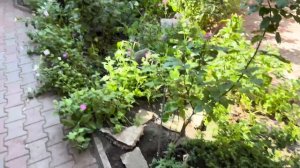 209. Дома у моих родителей, отмечаем день рождения Ильи.