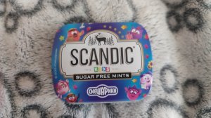 РАСПАКОВКА И ОБЗОР ЛИМИТИРОВАННОЙ ВЕРСИИ КОНФЕТ SCANDIC СО СМЕШАРИКАМИ!