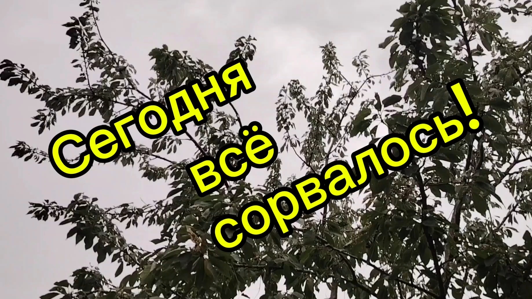 Ейск ! Сегодня что то всё сорвалось ! 20-07-2025 смотреть онлайн
