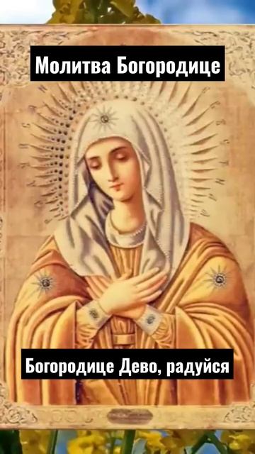 Богородице Дево, радуйся, молитвы Божией Матери смотреть онлайн