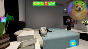 Я БЕЗДОМНЫЙ КОТИК В РОБЛОКС ! МЕНЯ ВЫГНАЛИ ИЗ ДОМА В ROBLOX