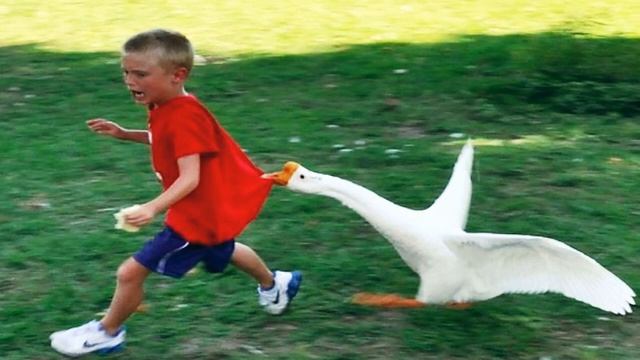 ЧТО ТАКОЕ ХОРОШО, ЧТО ТАКОЕ ПЛОХО