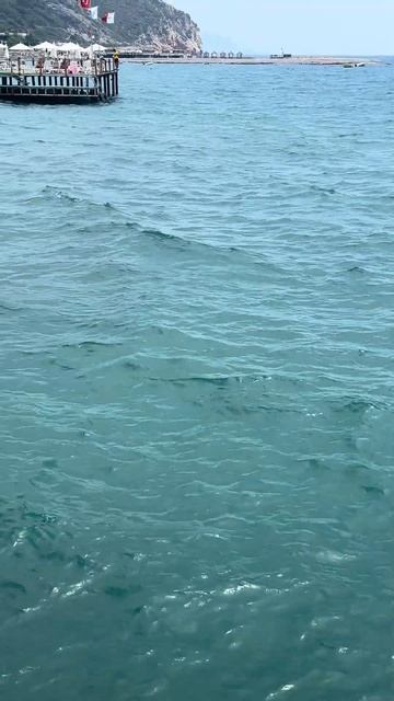 Путешественники по миру