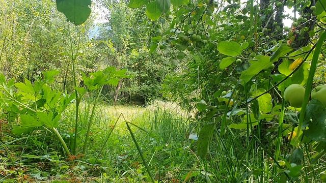 Счастлив я без весны... смотреть онлайн