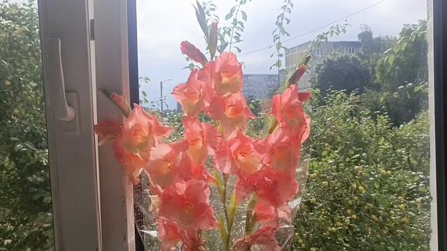 Вот и Пятница 🌦️ смотреть онлайн