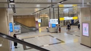 #14 Вечерний Киото, квартал Понто-тё. Возвращаемся на синкансене на лайнер Spectrum of the seas