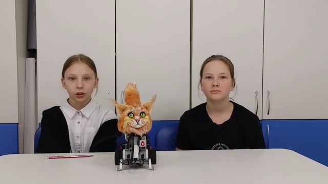 Робофинист2025_Котенок_Васька_описание