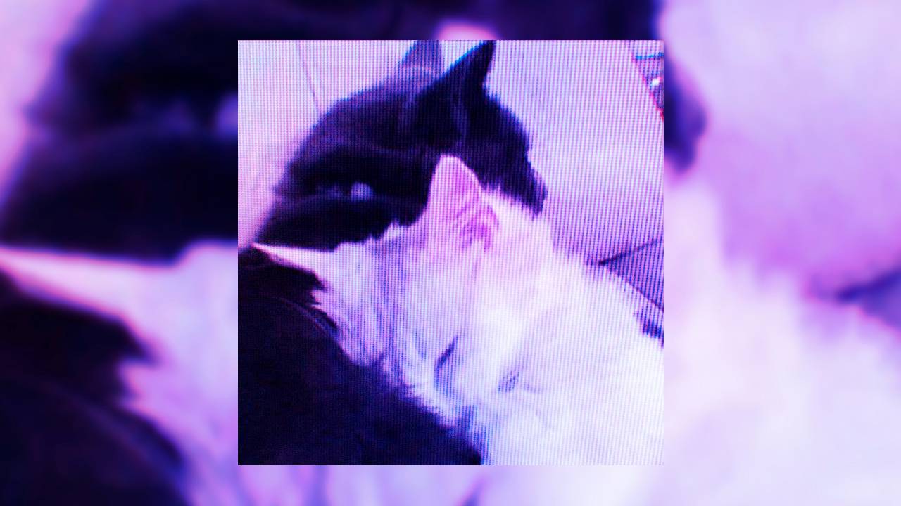 ☆плейлист НЕ популярных песен из тик тока 2025 года☆