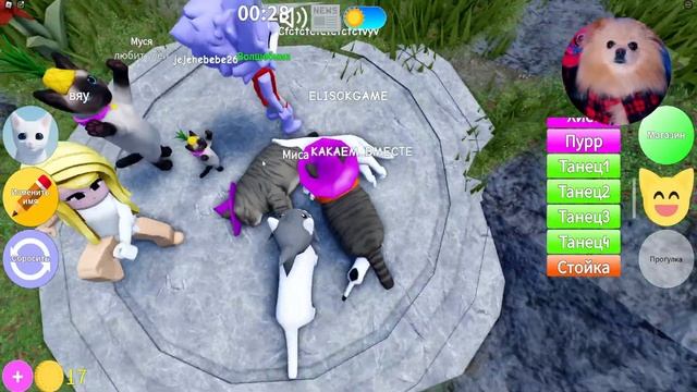 ВЕЧЕРИНКА КОТИКОВ В ШЛЯПКАХ ! ПРОХОЖУ ОББИ ЧТОБЫ ВЫИГРАТЬ РЕДКУЮ ШАПКУ В РОБЛОКС | Kitten Game смотреть онлайн