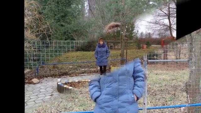 Я её не знаю - Автор музыка и поёт Евгений Росс смотреть онлайн