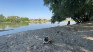 Нужно Стареть Естественно! Уходовые Средства Реально работают! #сыворотки #заповеднаяполяна