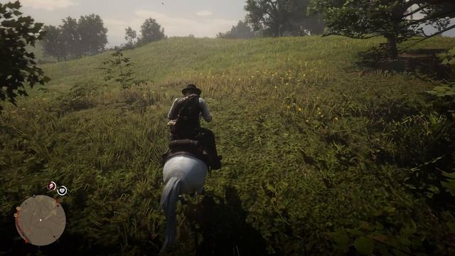 Red Dead Redemption 2 Испытание всадник 9 смотреть онлайн