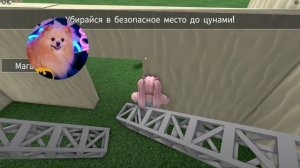 ЦУНАМИ В РОБЛОКС ! МОЙ ДОМ ПОД ВОДОЙ В ROBLOX