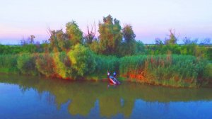 Там где камыши шакалы и комары размером с воробья Рыбалка в  Астрахани на сазана
