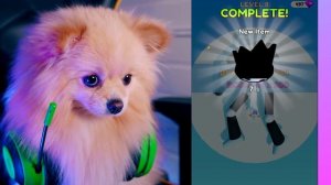 ЭВОЛЮЦИЯ ТЕЛА ! НУБ VS ПРО - ПРОТИВ БОССА