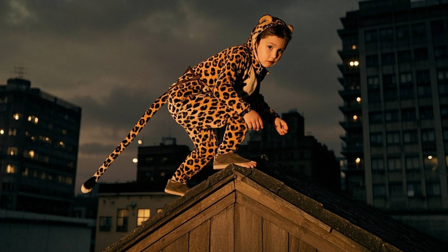 Запрет на пропаганду квадробинга: Госдума защитит подростков от опасной идеологии смотреть онлайн