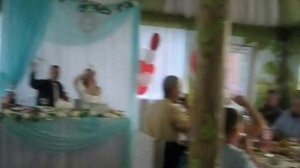 Свадьба Дмитрий и Юлия