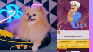 АКИНАТОР ЗНАЕТ МОИХ ХОЗЯЕВ И ЗНАКОМ С ХАГГИ ВАГГИ !!!