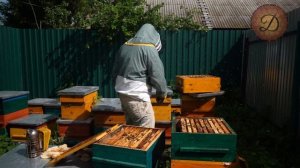 ДЕЛИМ СЛАБУЮ И ПОЛУЧАЕМ ЧЕТЫРЕ