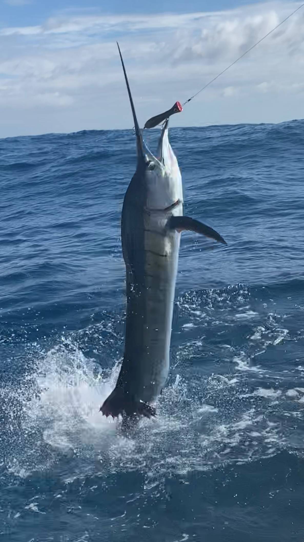 Почему успешный трейдер — как хороший рыбак? #профессиональный_трейдер смотреть онлайн