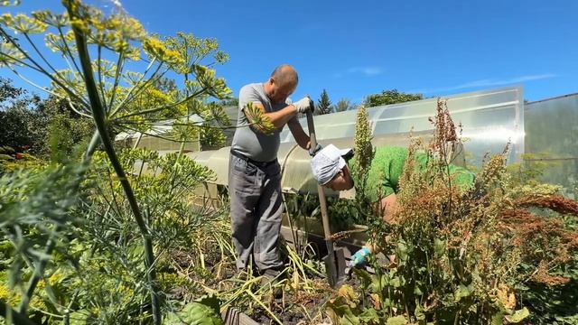 Работы много-хохотали ПОКА КОПАЛИ-Дима подглядел у ПОДРУГИ-может вырастет смотреть онлайн