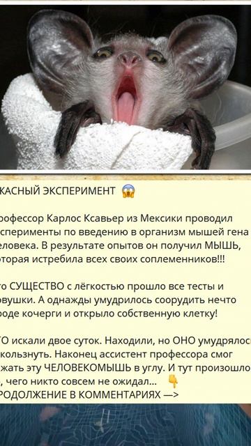 8_871_УЖАСНЫЙ ЭКСПЕРИМЕНТ  ������_S